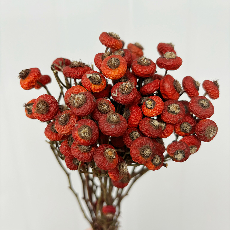 Dried Flower Bunch - 10 шт./пучок, сушеные цветы шиповника, натуральные