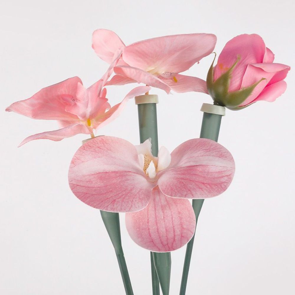 The Florist Supply Shop - Прозрачные пластиковые флаконы для хранения воды