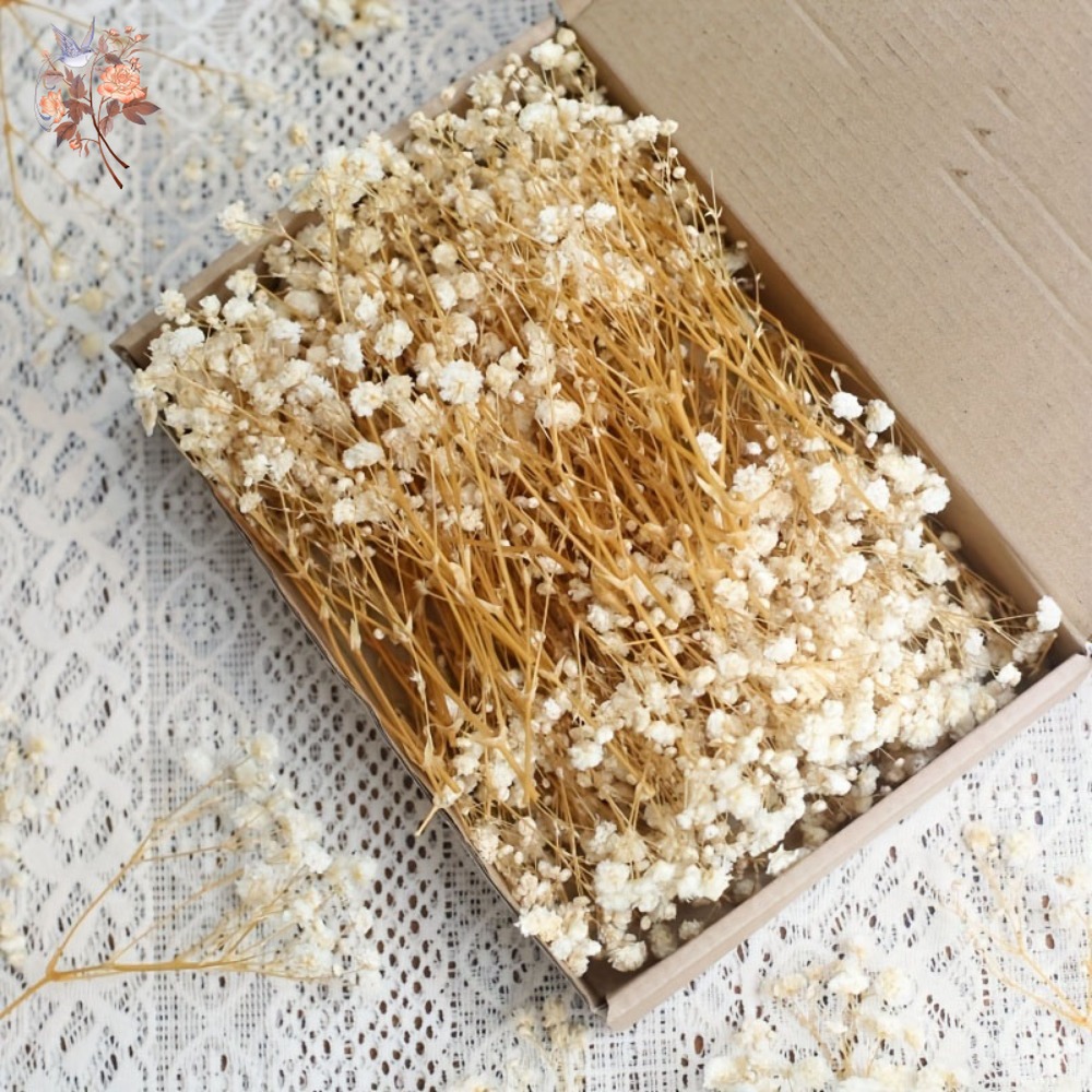 Dried Flower Bunch - 100 шт. миниатюрных сушеных цветов гипсофилы