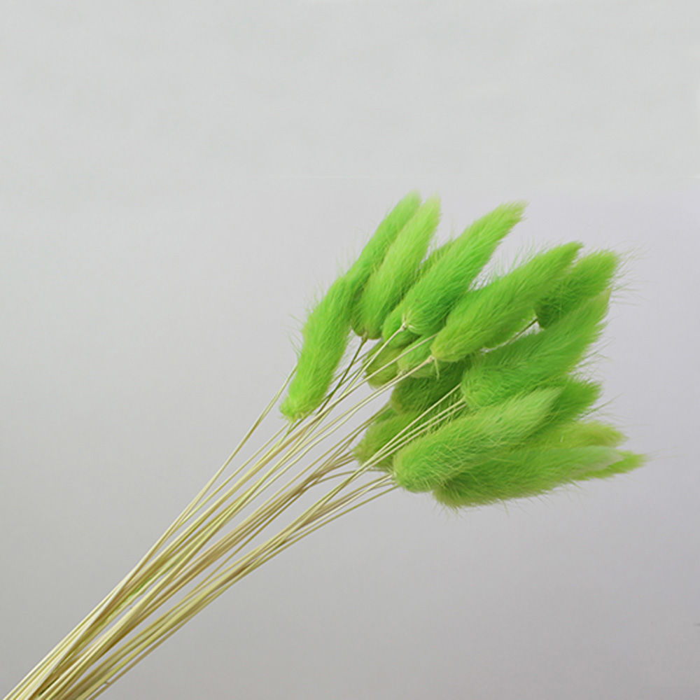 50 шт., букеты из сушеных нату – обзор и цена Dried Flower Bunch
