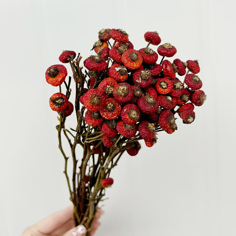 10 шт./пучок, сушеные цветы ши – обзор и цена Dried Flower Bunch