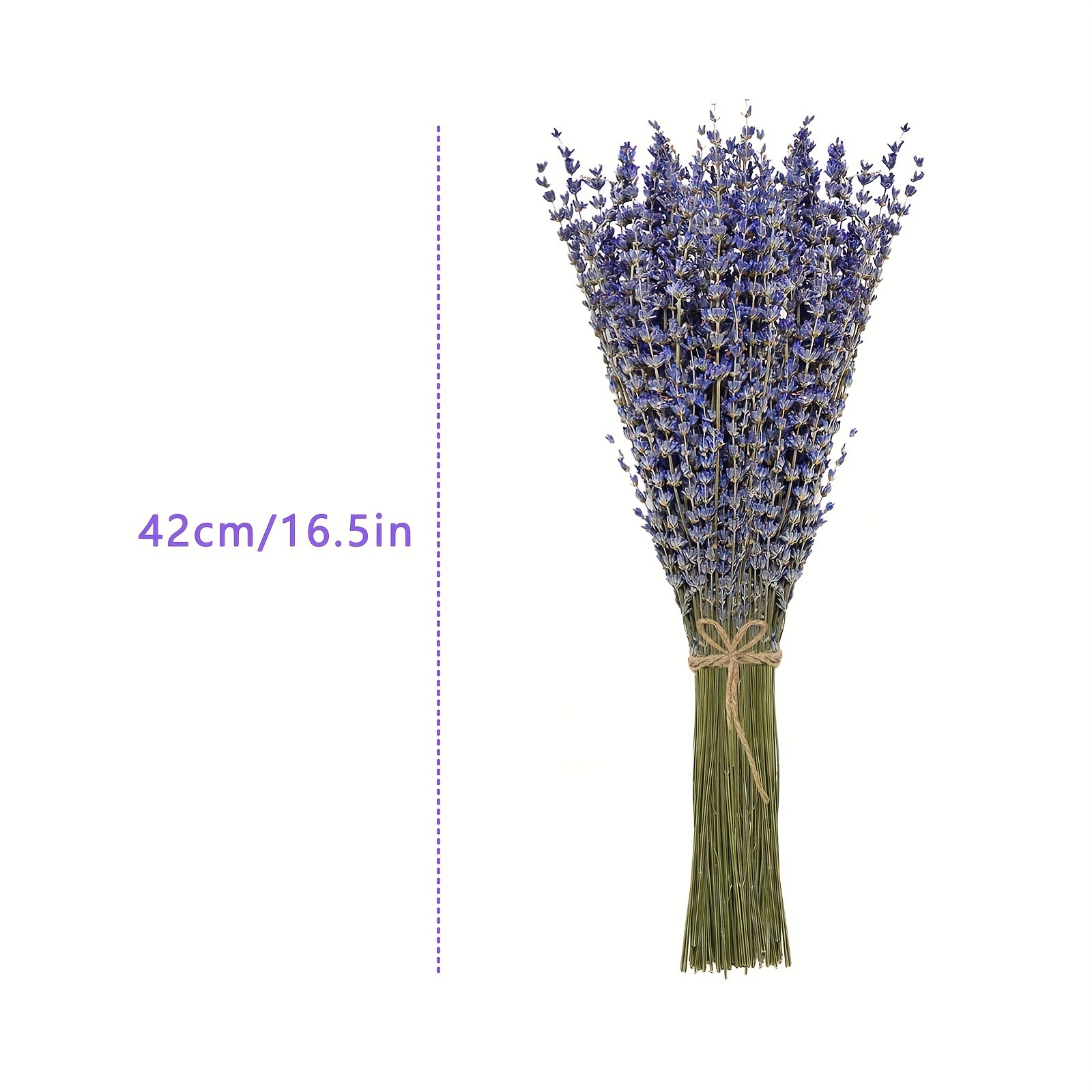 200 шт./пучок сушеных цветов л – обзор и цена Dried Flower Bunch