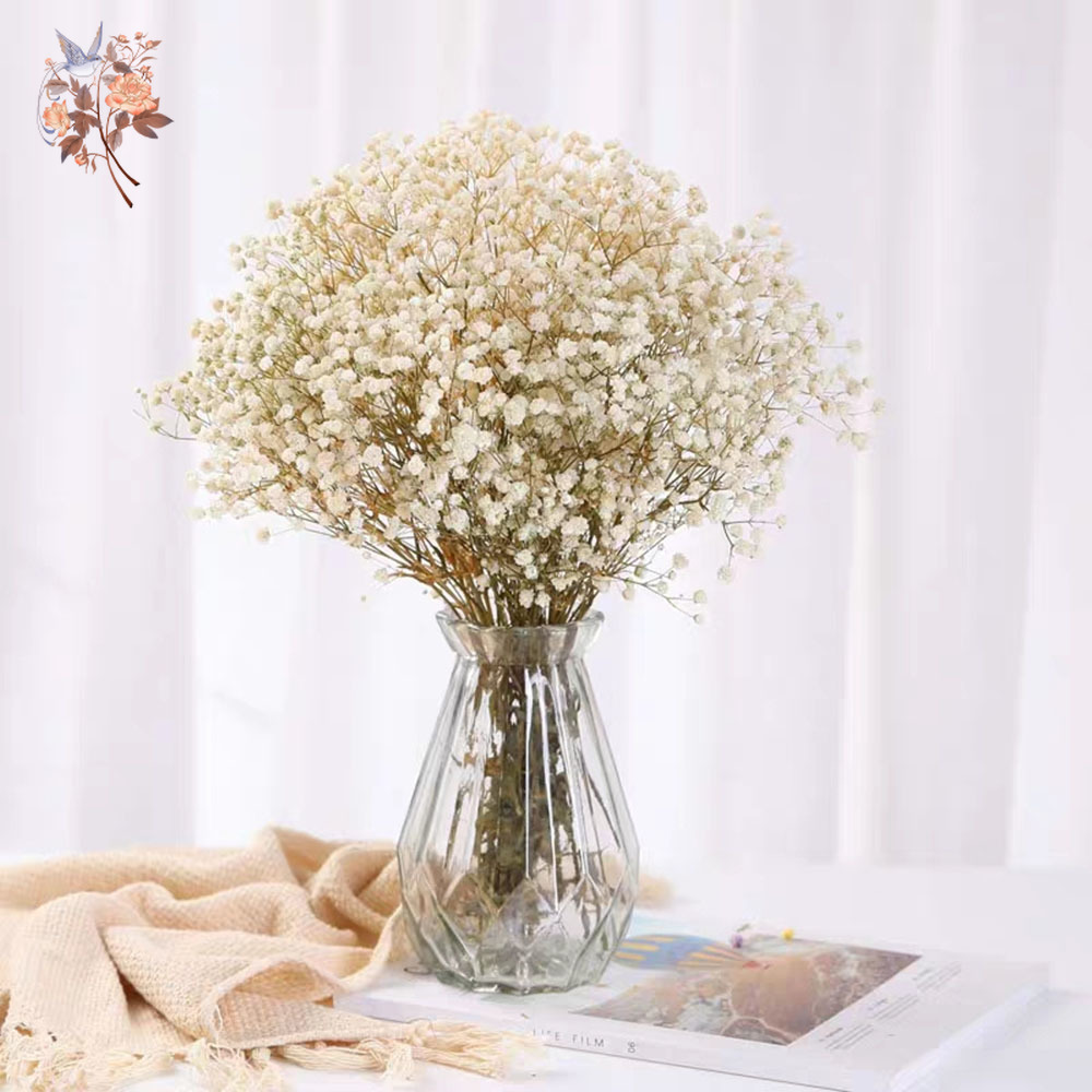 60 г сушеный детский букет цве – обзор и цена Dried Flower Bunch