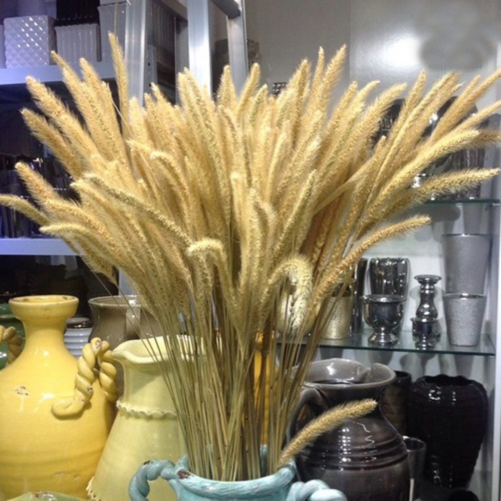 200 шт., натуральные сушеные б – обзор и цена Dried Flower Bunch