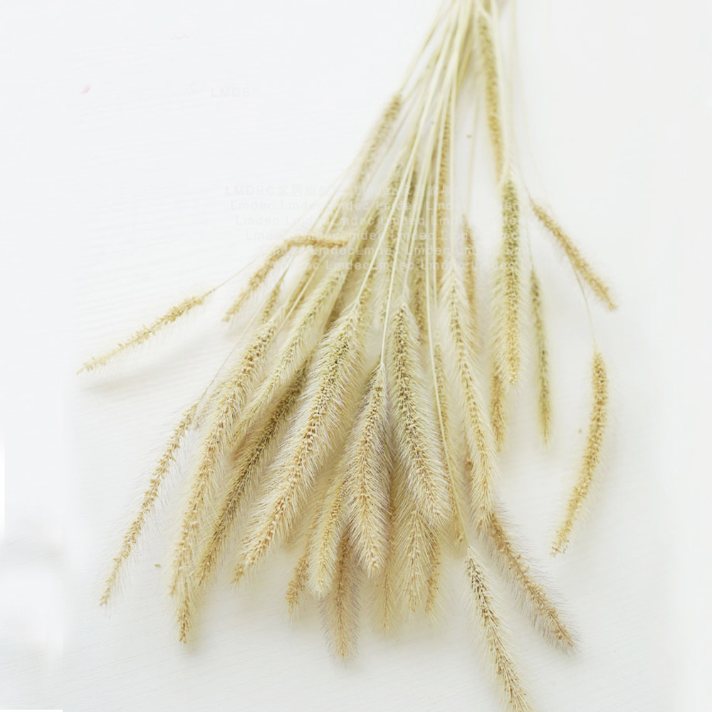 200 шт., натуральные сушеные б – обзор и цена Dried Flower Bunch