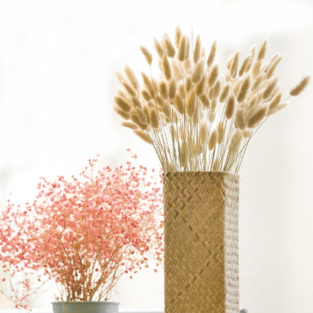 200 шт., натуральные сушеные б – обзор и цена Dried Flower Bunch