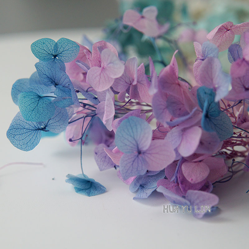 Сухоцветы гортензии с эффектом – обзор и цена Dried Flower Bunch