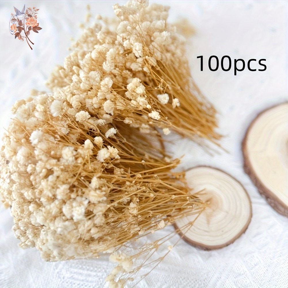 100 шт. миниатюрных сушеных цв – обзор и цена Dried Flower Bunch