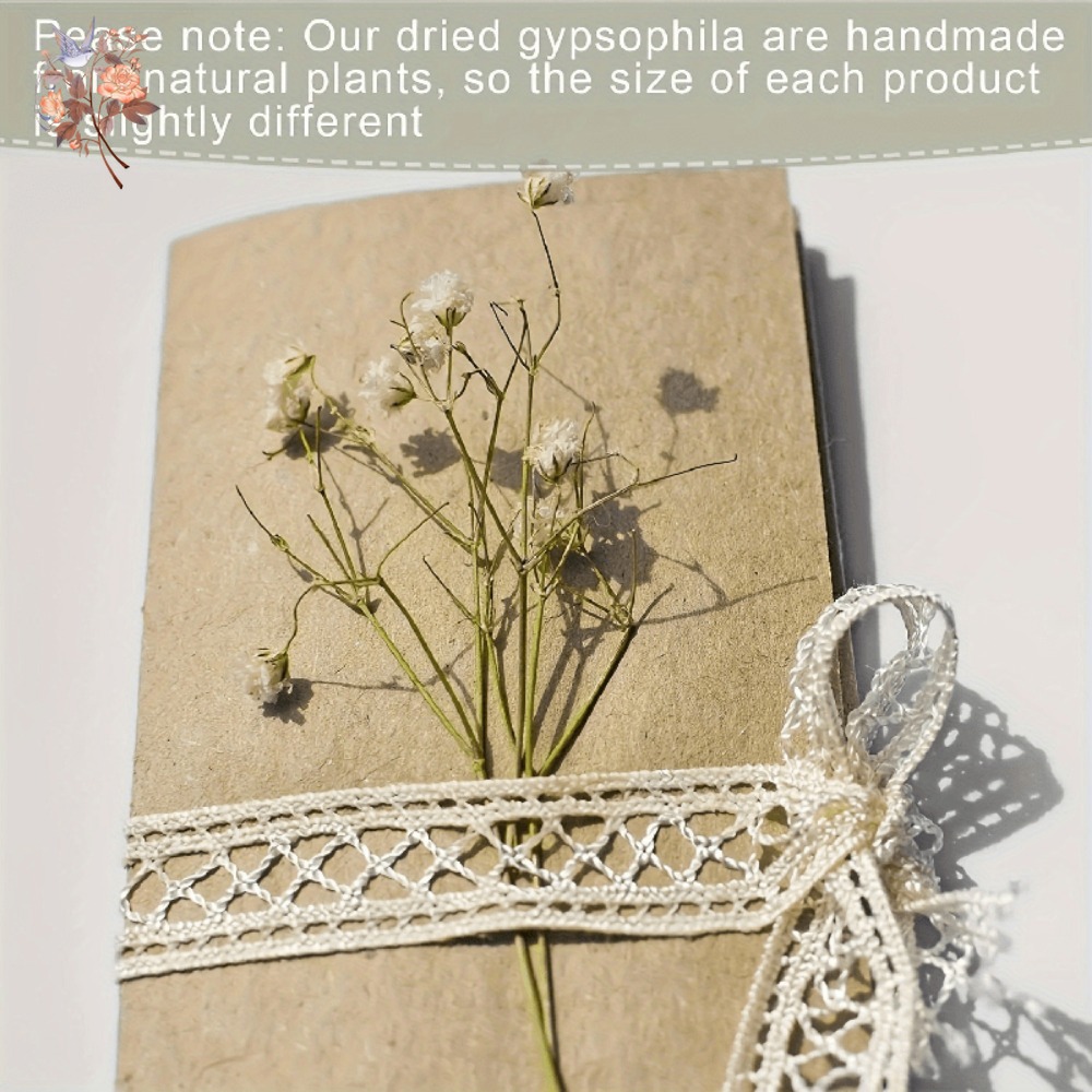 100 шт. миниатюрных сушеных цв – обзор и цена Dried Flower Bunch